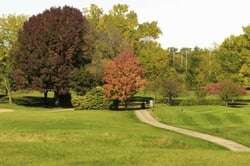 Fall color on golf course in northern Illinois View of cart path and tee box, early October-1-1-2