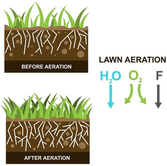 TLC - The Lawn Company Additional Lawn Care Services - Core Aeration Lawn Benefits