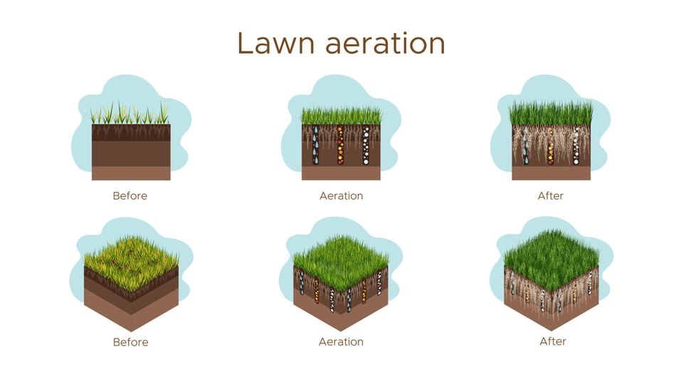 vecteezy_lawn-care-aeration-and-scarification-labels-by_20312283
