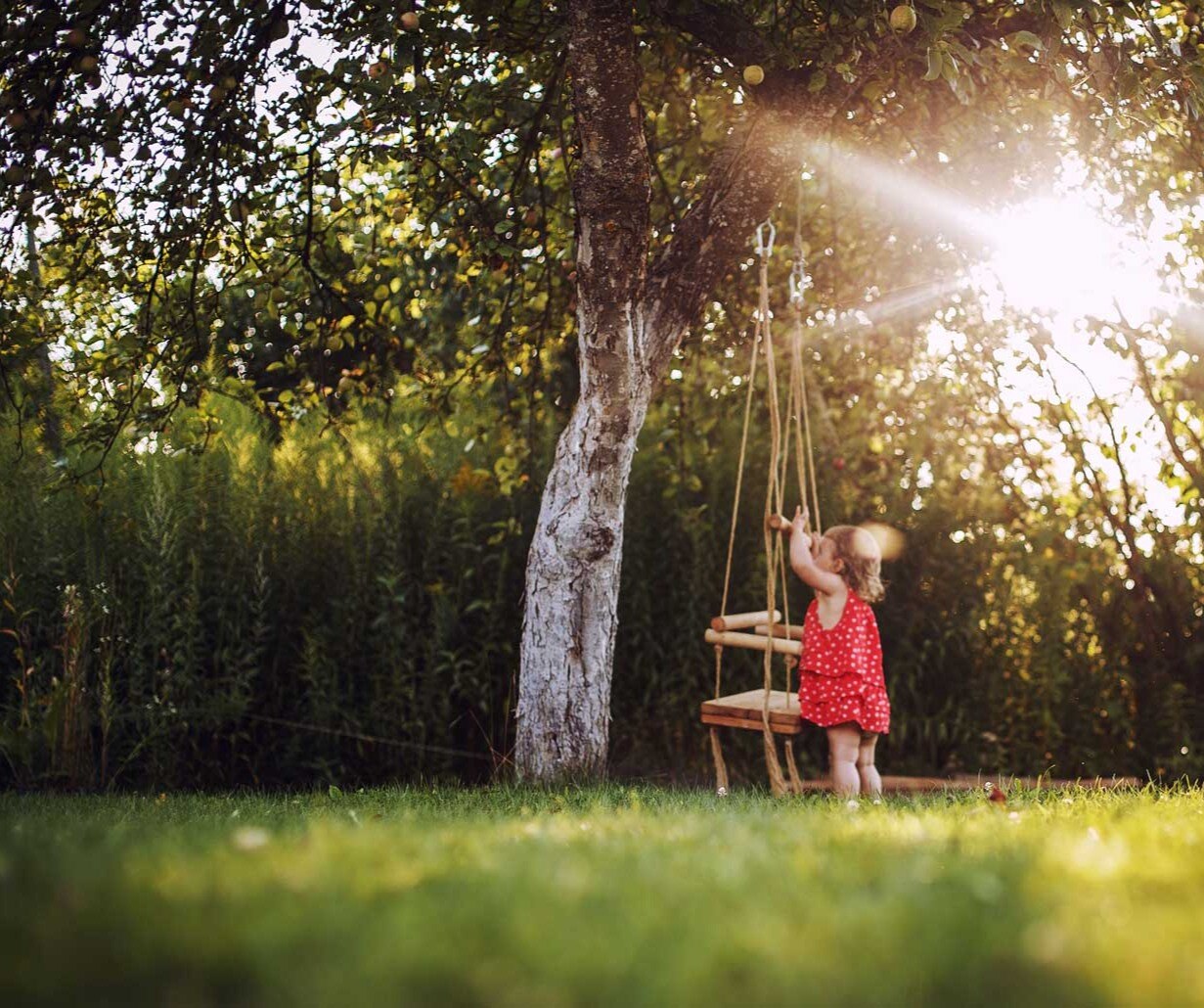 5 Steps for a Healthy Lawn in Spring | TLC - The Lawn Company